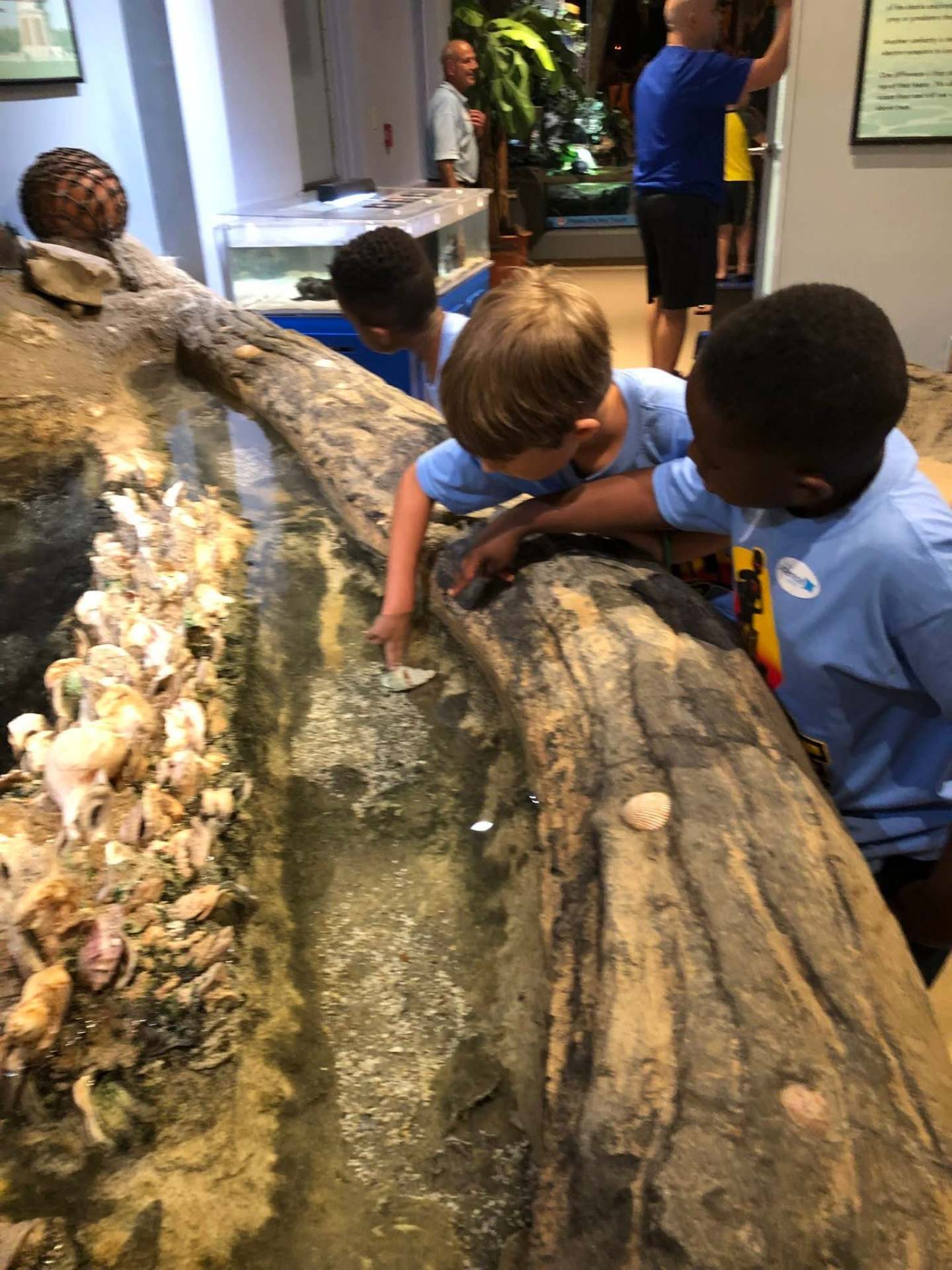 Children exploring an educational museum exhibit